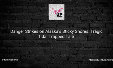 😱 Danger Strikes on Alaska’s Sticky Shores: Tragic Tidal Trapped Tale 🌊