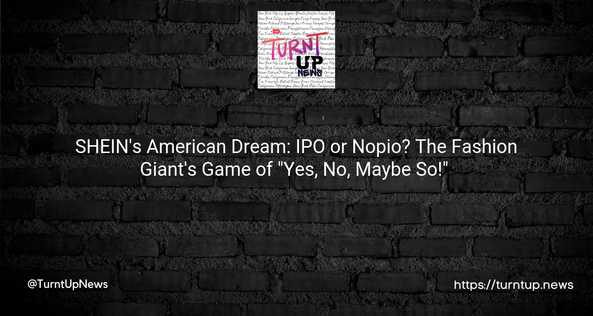 🛍️ SHEIN’s American Dream: IPO or Nopio? The Fashion Giant’s Game of “Yes, No, Maybe So!” 🎲