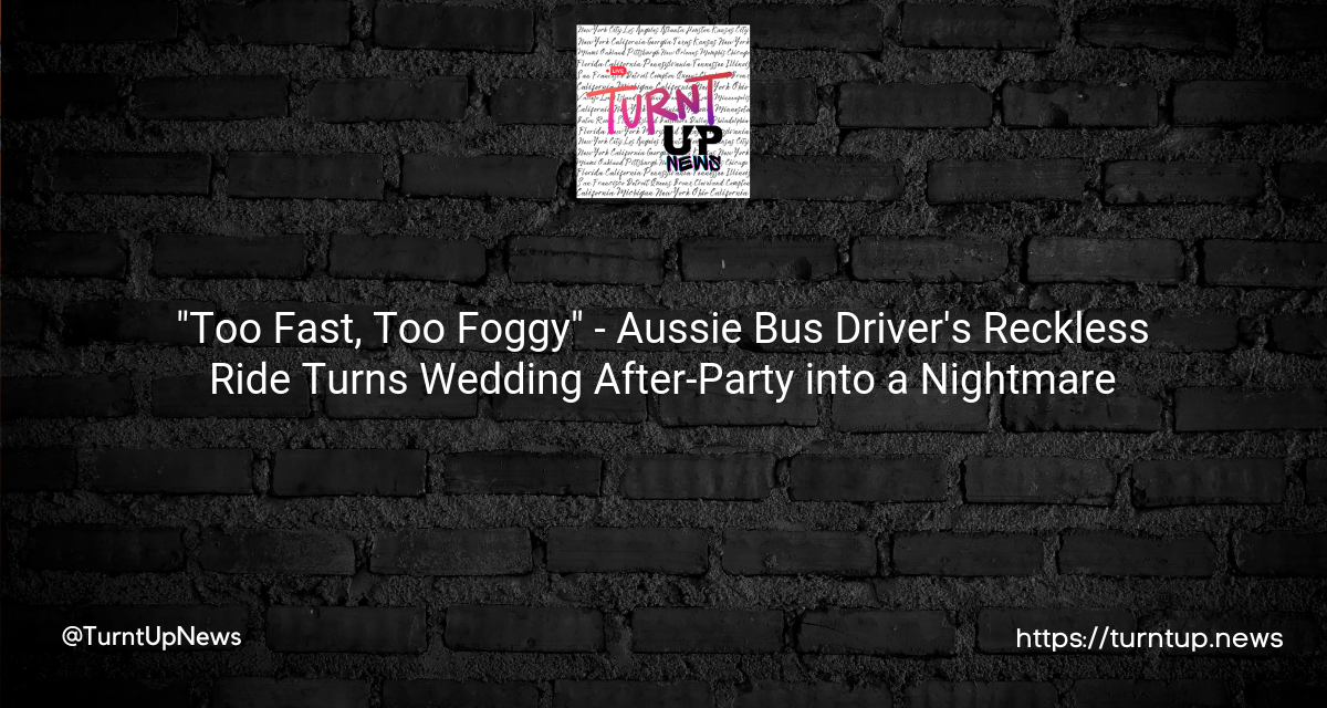 🚍💔 “Too Fast, Too Foggy” – Aussie Bus Driver’s Reckless Ride Turns Wedding After-Party into a Nightmare