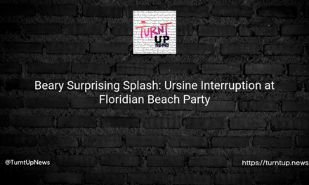 🐻💦Beary Surprising Splash: Ursine Interruption at Floridian Beach Party🏖️😲