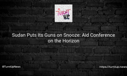 😲Sudan Puts Its Guns on Snooze: Aid Conference on the Horizon💰