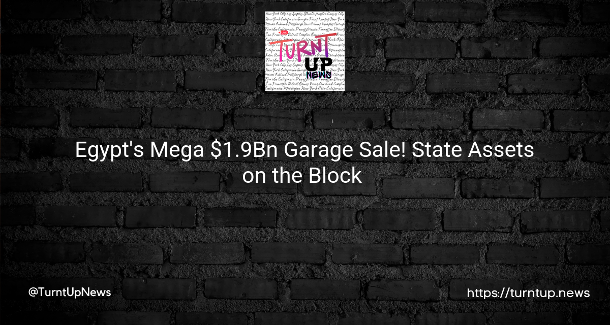 💸🇪🇬 Egypt’s Mega $1.9Bn Garage Sale! State Assets on the Block 🏗️🏨