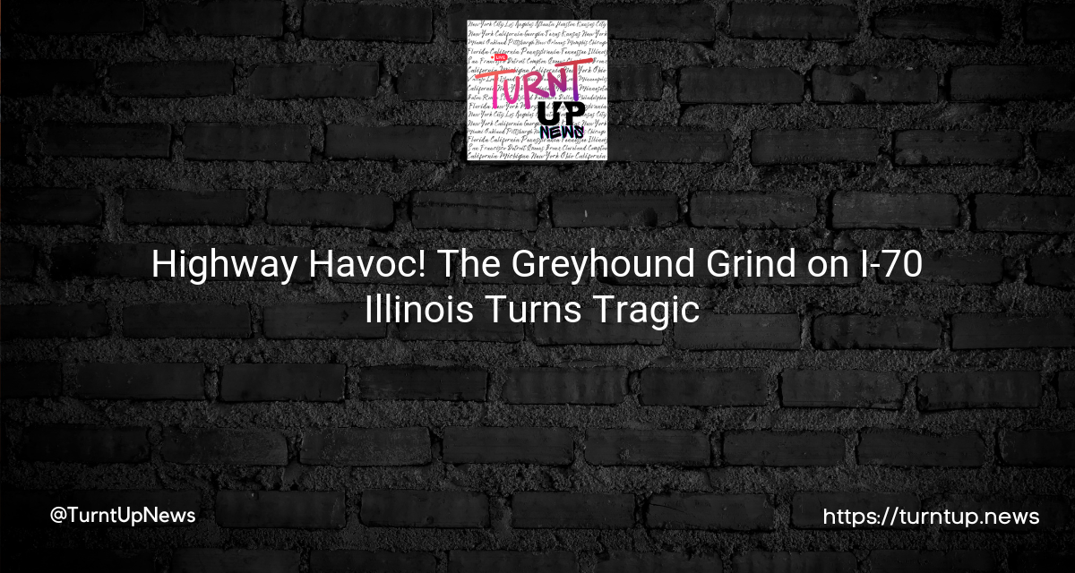 😱 Highway Havoc! The Greyhound Grind on I-70 Illinois Turns Tragic 🚑💔