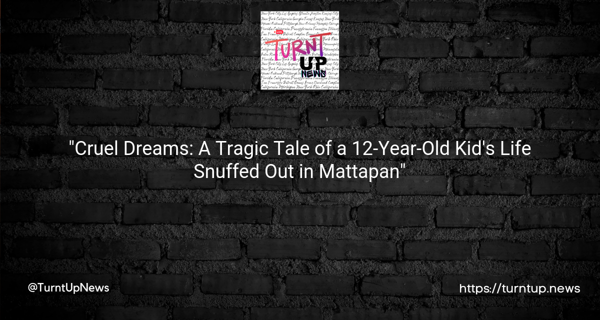 🎯 “Cruel Dreams: A Tragic Tale of a 12-Year-Old Kid’s Life Snuffed Out in Mattapan🌃”