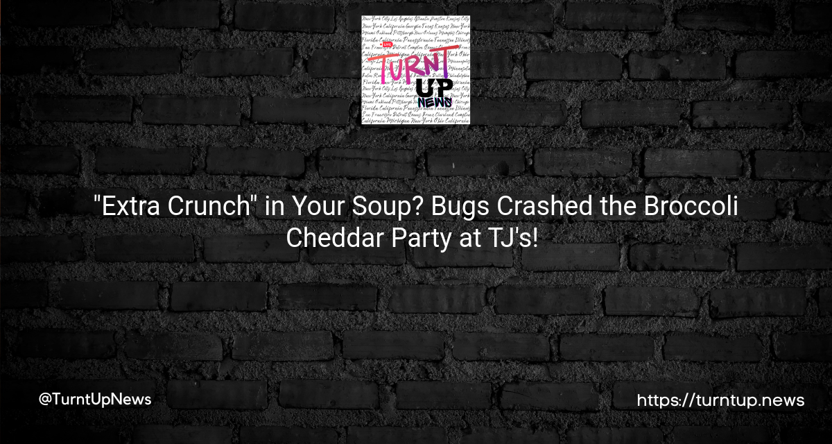 🐜🥦 “Extra Crunch” in Your Soup? Bugs Crashed the Broccoli Cheddar Party at TJ’s! 🥣🤔