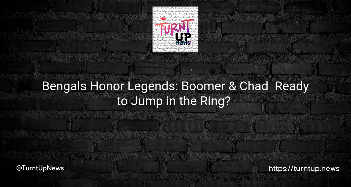 🏈 Bengals Honor Legends: Boomer & Chad 💍 Ready to Jump in the Ring? 🤔