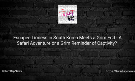 🦁 Escapee Lioness in South Korea Meets a Grim End – A Safari Adventure or a Grim Reminder of Captivity? 😲