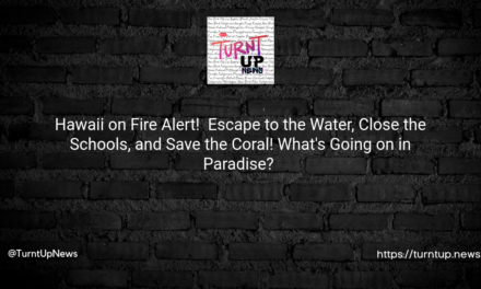 🔥 Hawaii on Fire Alert! 🏄 Escape to the Water, Close the Schools, and Save the Coral! What’s Going on in Paradise? 🌺
