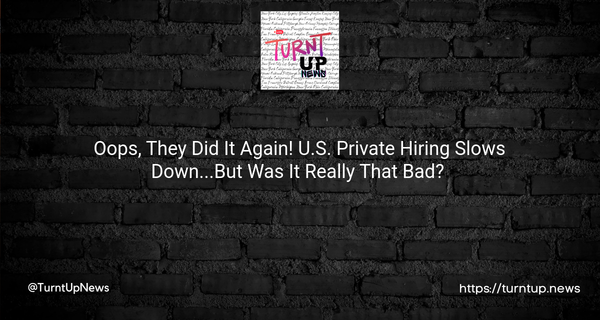 😲 Oops, They Did It Again! U.S. Private Hiring Slows Down…But Was It Really That Bad? 🤔