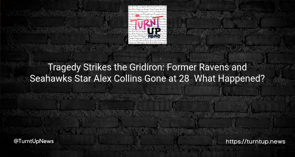 😢🏈 Tragedy Strikes the Gridiron: Former Ravens and Seahawks Star Alex Collins Gone at 28 – What Happened? 🧐
