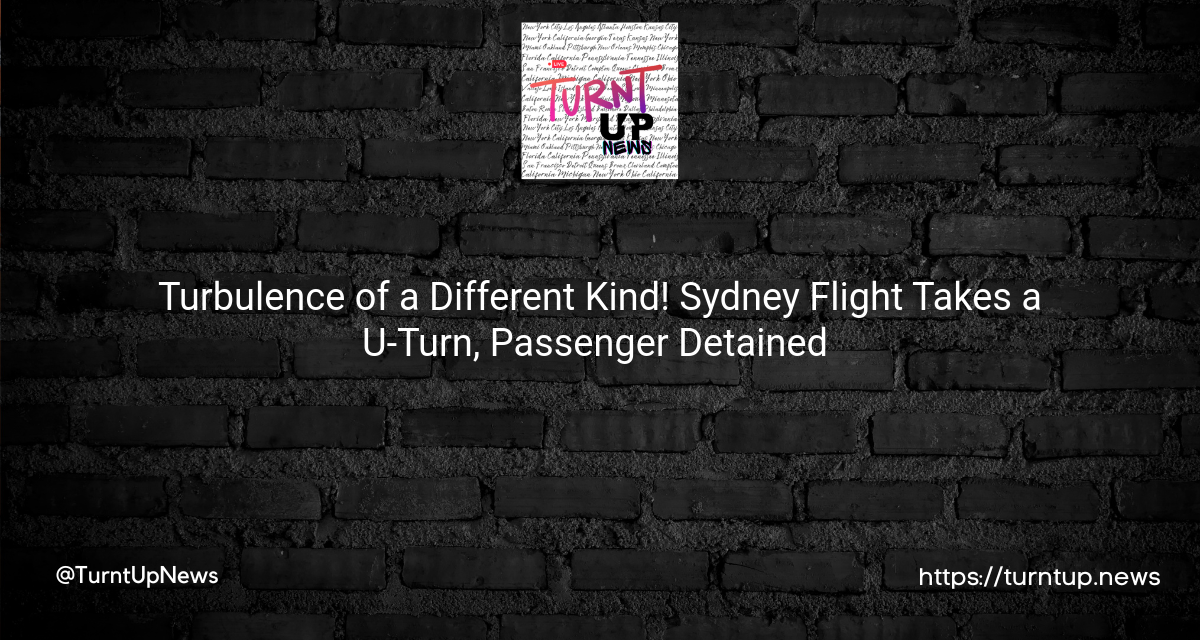 🚨✈️ Turbulence of a Different Kind! Sydney Flight Takes a U-Turn, Passenger Detained 🚔