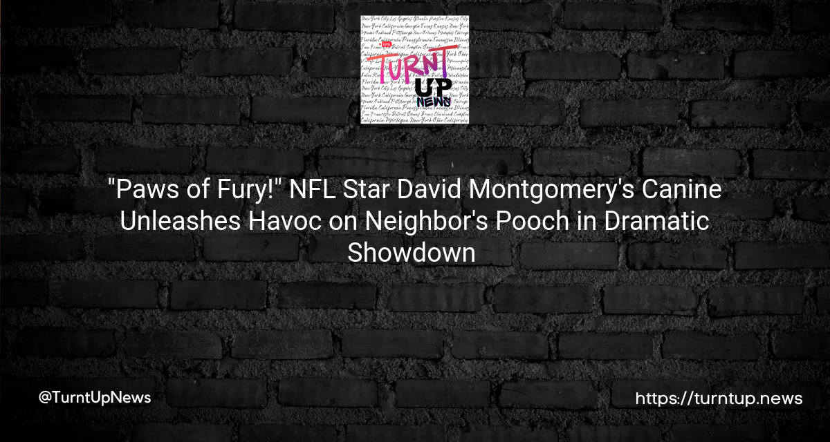 🐶💥 “Paws of Fury!” NFL Star David Montgomery’s Canine Unleashes Havoc on Neighbor’s Pooch in Dramatic Showdown 💔