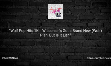 “Wolf Pop Hits 1K! 🐺: Wisconsin’s Got a Brand New (Wolf) Plan, But Is It Lit? 🔥”